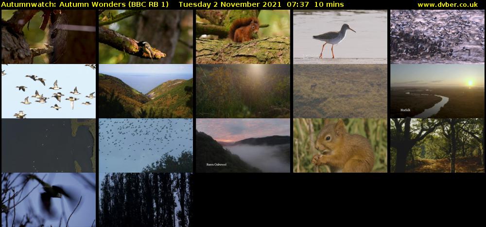 Autumnwatch: Autumn Wonders (BBC RB 1) Tuesday 2 November 2021 07:37 - 07:47