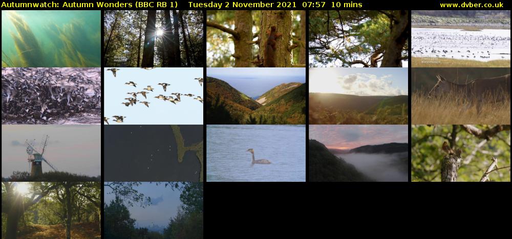 Autumnwatch: Autumn Wonders (BBC RB 1) Tuesday 2 November 2021 07:57 - 08:07