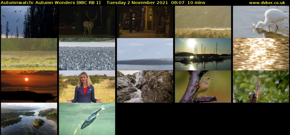 Autumnwatch: Autumn Wonders (BBC RB 1) Tuesday 2 November 2021 08:07 - 08:17