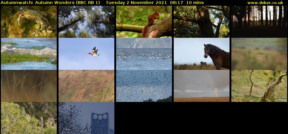 Autumnwatch: Autumn Wonders (BBC RB 1) Tuesday 2 November 2021 08:17 - 08:27