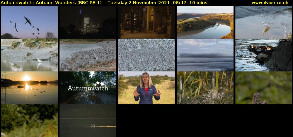 Autumnwatch: Autumn Wonders (BBC RB 1) Tuesday 2 November 2021 08:47 - 08:57