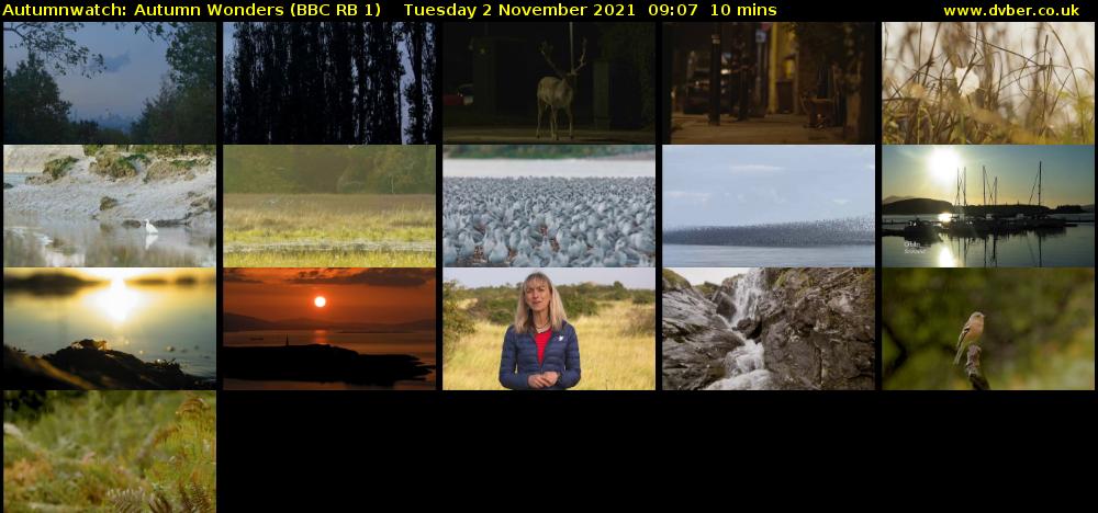Autumnwatch: Autumn Wonders (BBC RB 1) Tuesday 2 November 2021 09:07 - 09:17