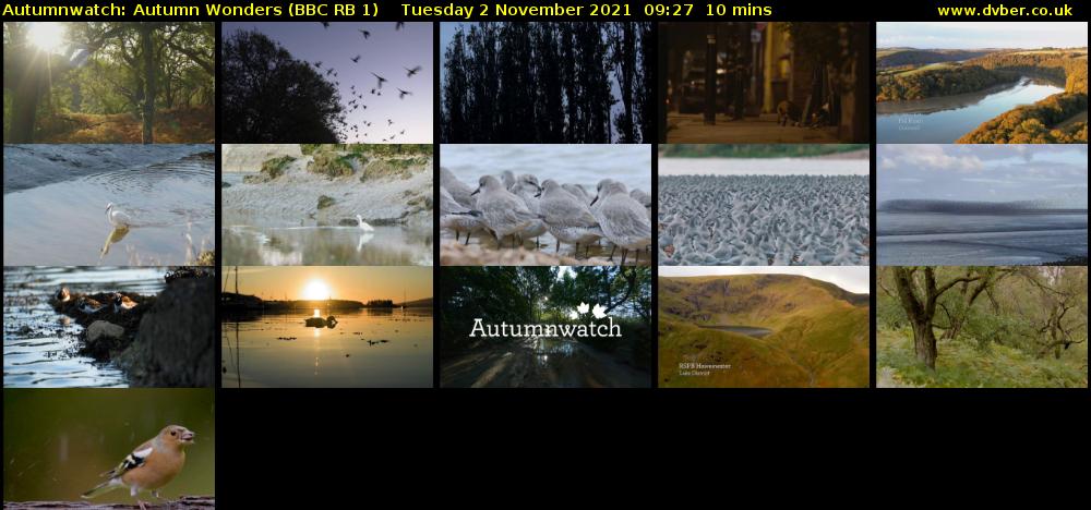 Autumnwatch: Autumn Wonders (BBC RB 1) Tuesday 2 November 2021 09:27 - 09:37
