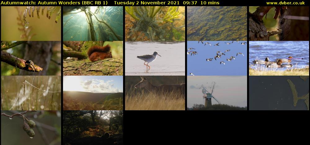 Autumnwatch: Autumn Wonders (BBC RB 1) Tuesday 2 November 2021 09:37 - 09:47
