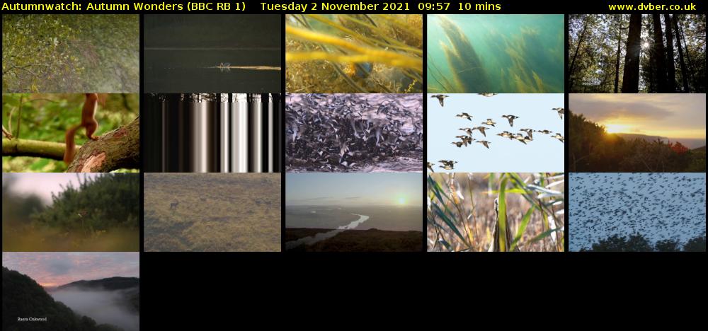 Autumnwatch: Autumn Wonders (BBC RB 1) Tuesday 2 November 2021 09:57 - 10:07