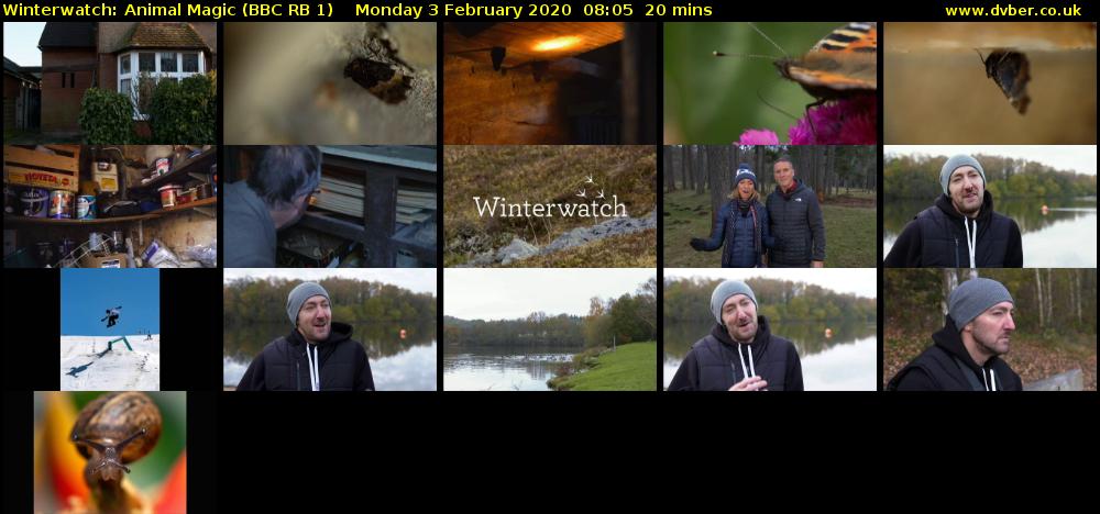 Winterwatch: Animal Magic (BBC RB 1) Monday 3 February 2020 08:05 - 08:25