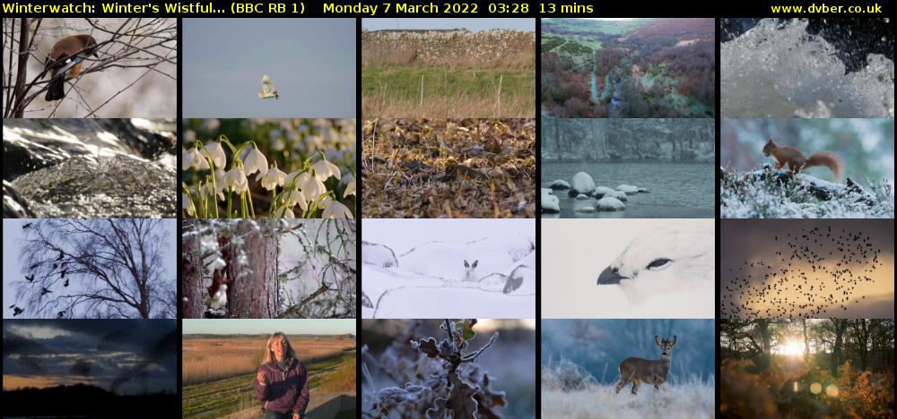 Winterwatch: Winter's Wistful... (BBC RB 1) Monday 7 March 2022 03:28 - 03:41
