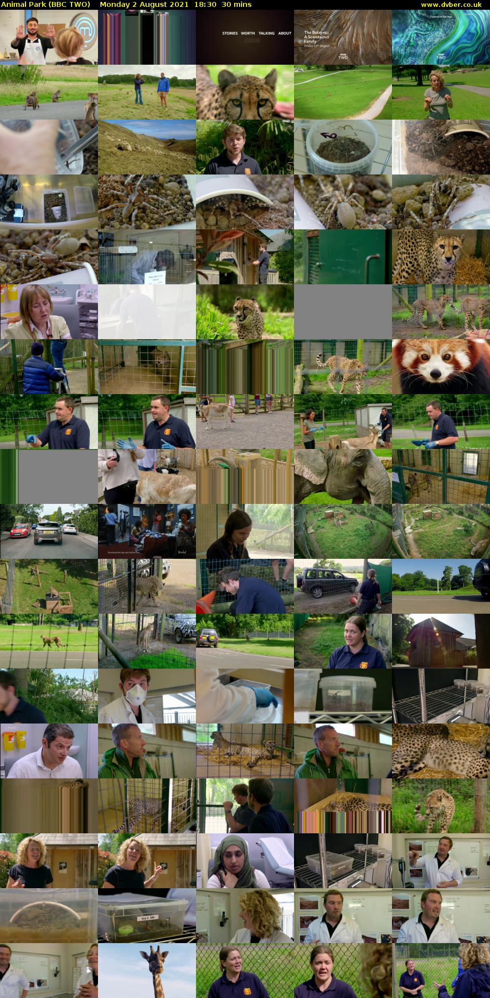 Animal Park (BBC TWO) Monday 2 August 2021 18:30 - 19:00