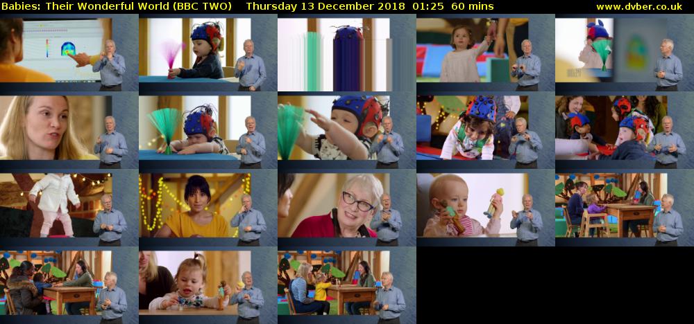 Babies: Their Wonderful World (BBC TWO) Thursday 13 December 2018 01:25 - 02:25