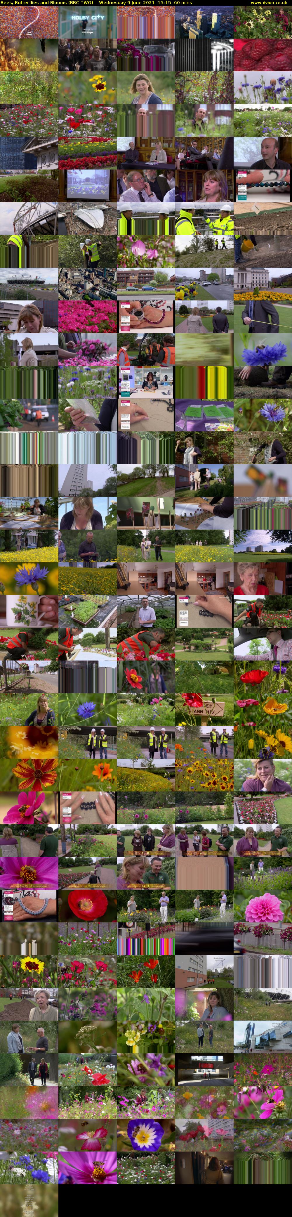 Bees, Butterflies and Blooms (BBC TWO) Wednesday 9 June 2021 15:15 - 16:15