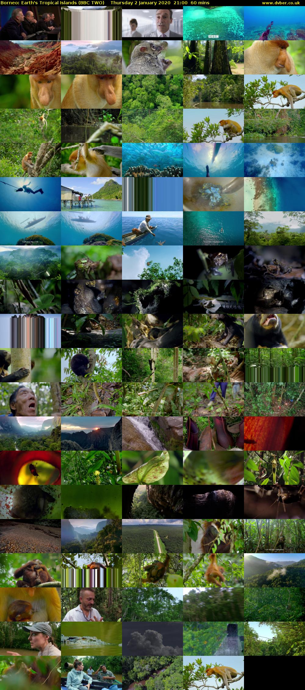 Borneo: Earth's Tropical Islands (BBC TWO) Thursday 2 January 2020 21:00 - 22:00