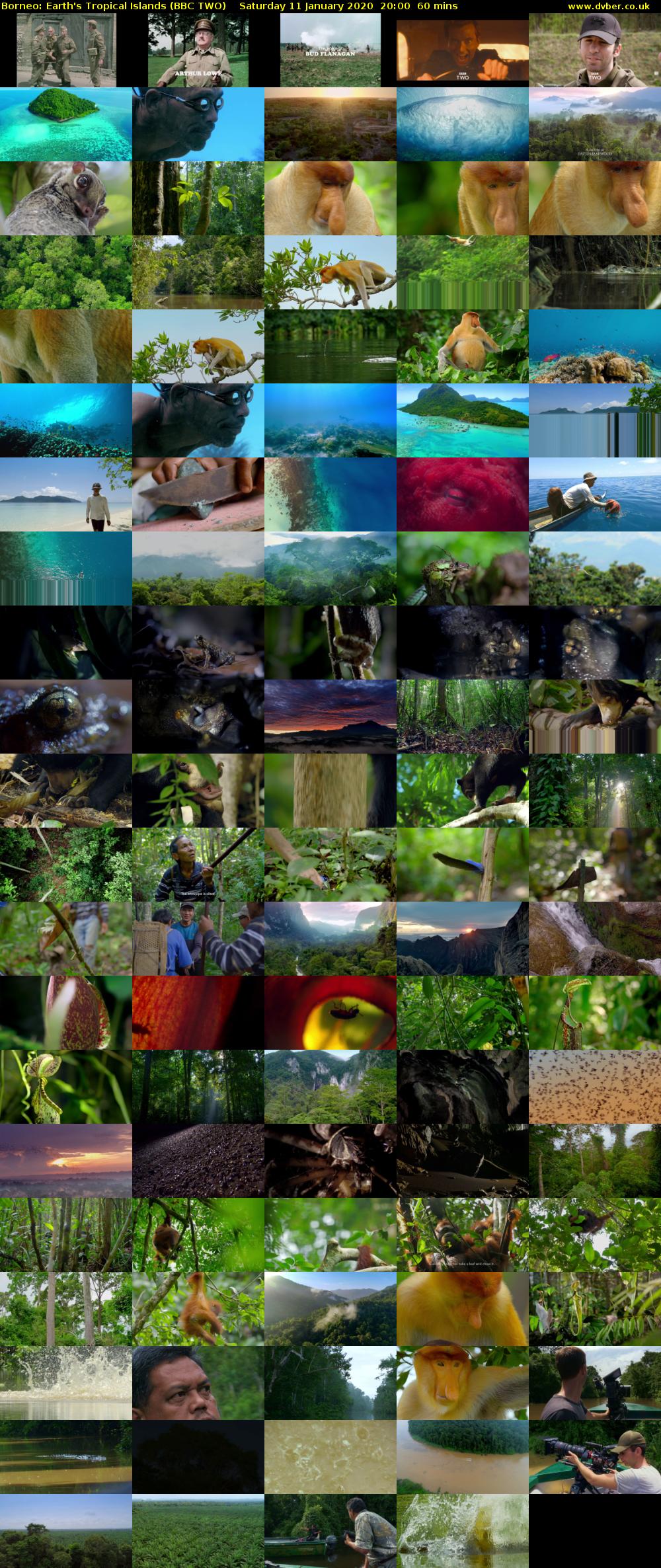 Borneo: Earth's Tropical Islands (BBC TWO) Saturday 11 January 2020 20:00 - 21:00