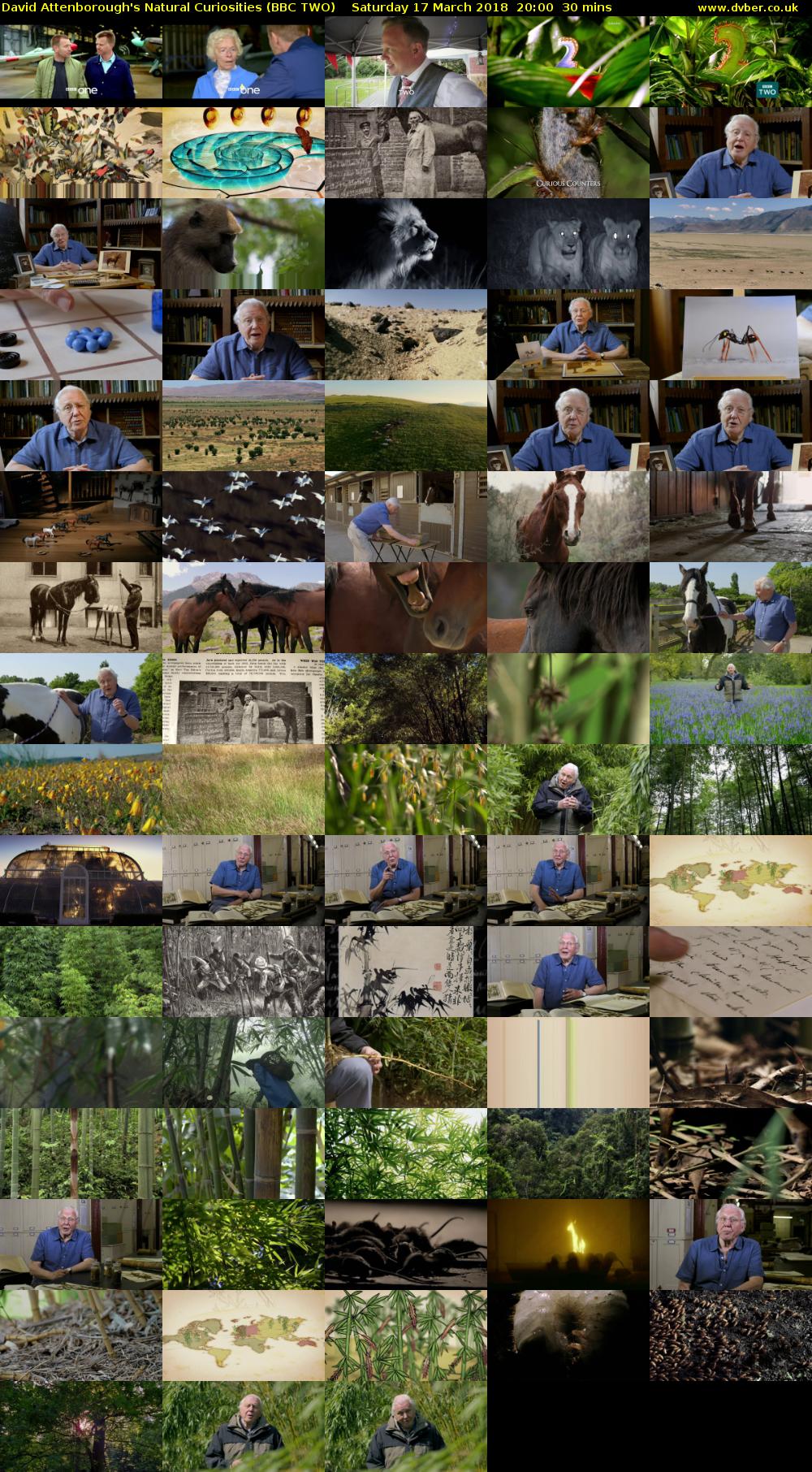 David Attenborough's Natural Curiosities (BBC TWO) Saturday 17 March 2018 20:00 - 20:30