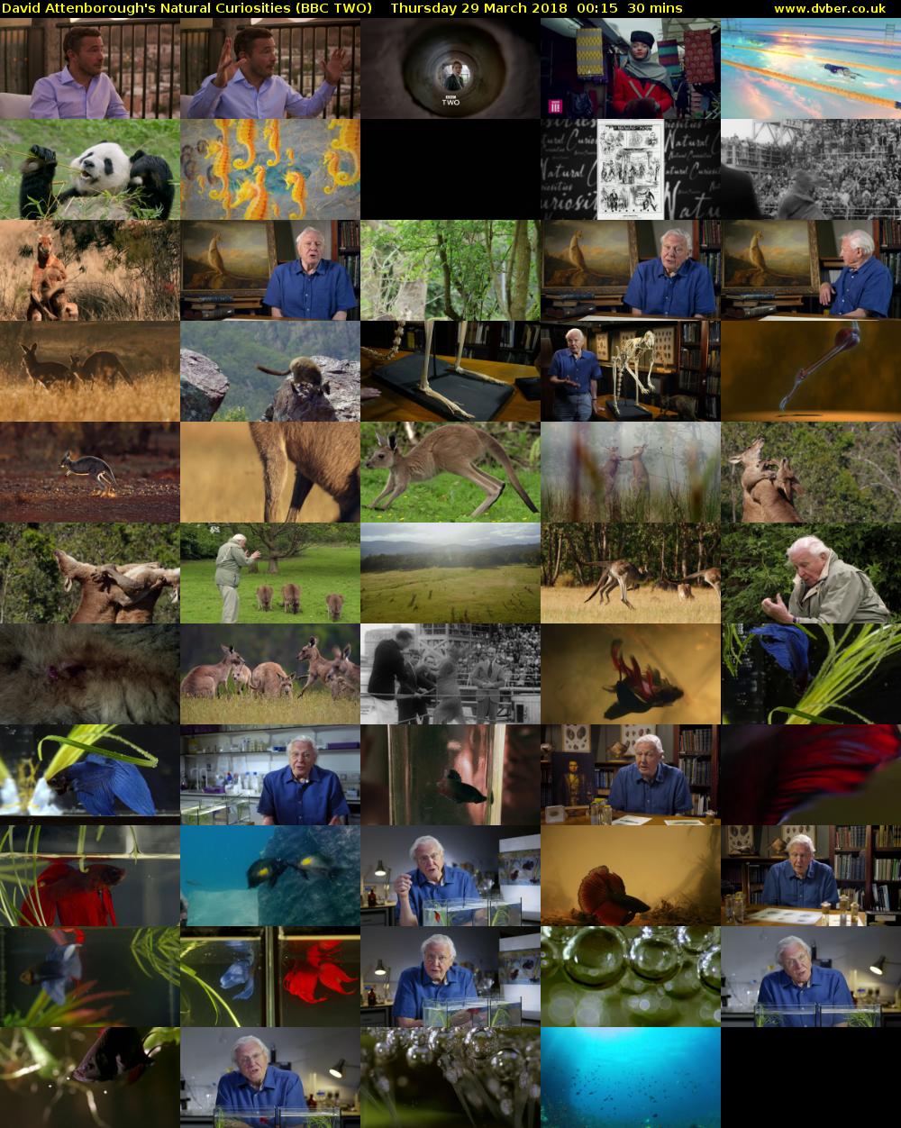 David Attenborough's Natural Curiosities (BBC TWO) Thursday 29 March 2018 00:15 - 00:45