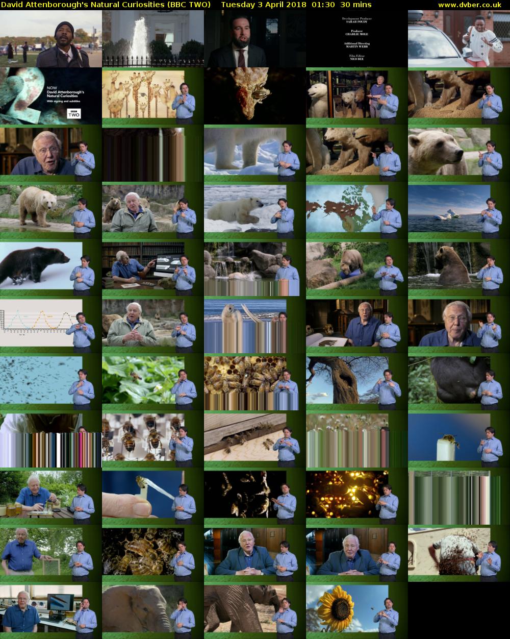 David Attenborough's Natural Curiosities (BBC TWO) Tuesday 3 April 2018 01:30 - 02:00