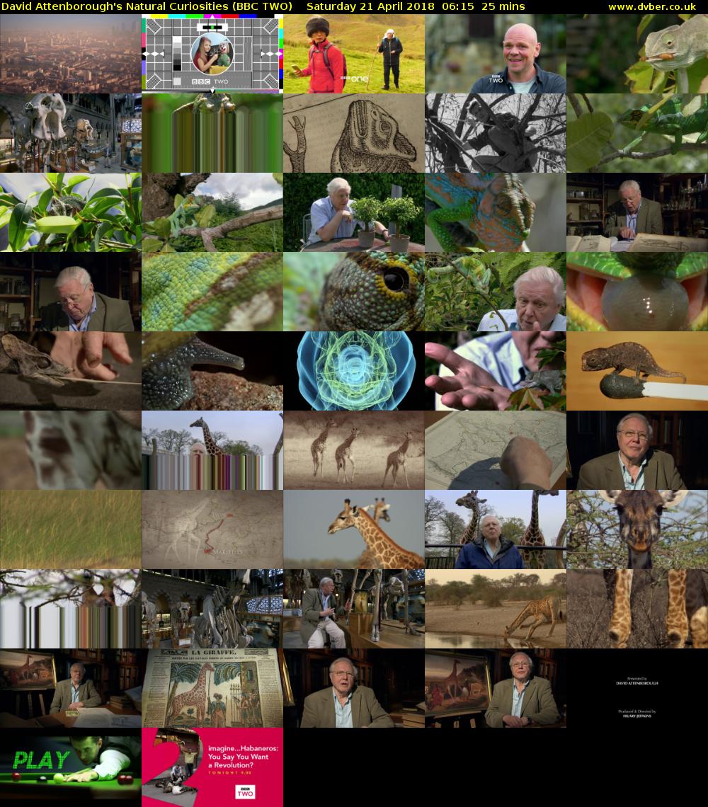 David Attenborough's Natural Curiosities (BBC TWO) Saturday 21 April 2018 06:15 - 06:40