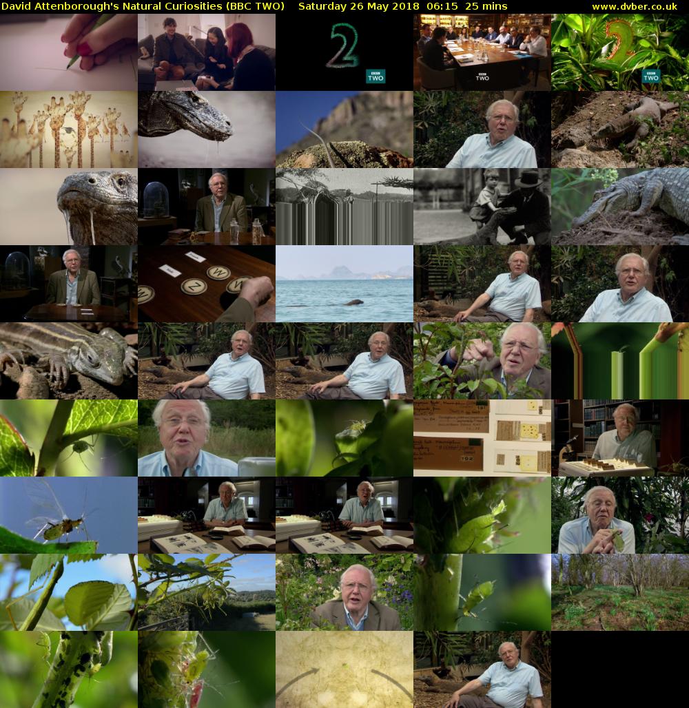 David Attenborough's Natural Curiosities (BBC TWO) Saturday 26 May 2018 06:15 - 06:40