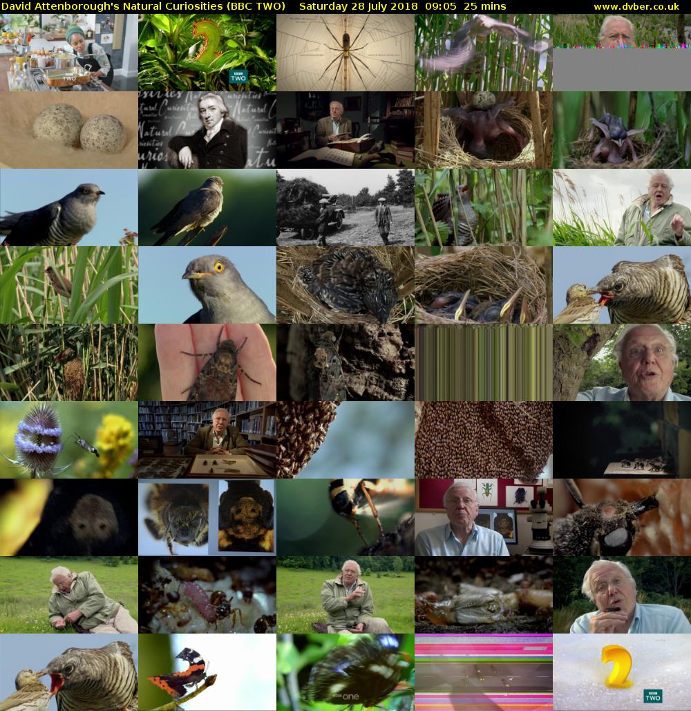 David Attenborough's Natural Curiosities (BBC TWO) Saturday 28 July 2018 09:05 - 09:30
