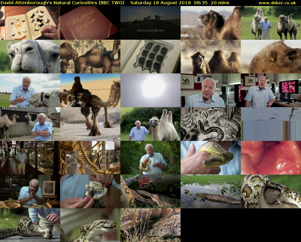 David Attenborough's Natural Curiosities (BBC TWO) Saturday 18 August 2018 08:35 - 08:55
