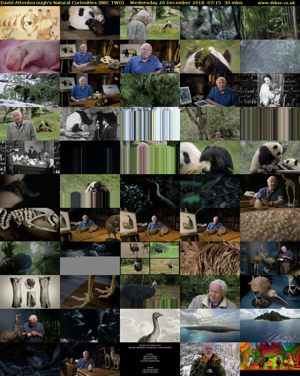 David Attenborough's Natural Curiosities (BBC TWO) Wednesday 26 December 2018 07:15 - 07:45