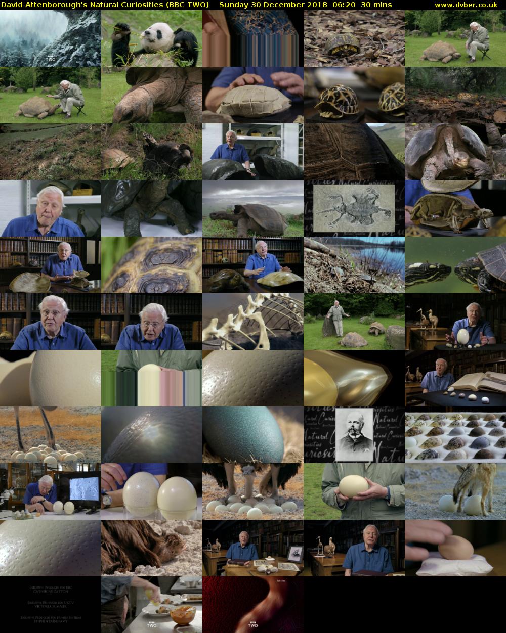 David Attenborough's Natural Curiosities (BBC TWO) Sunday 30 December 2018 06:20 - 06:50