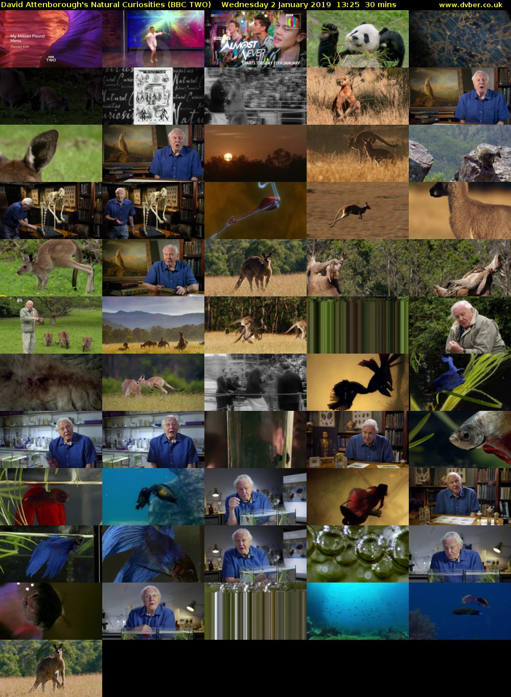 David Attenborough's Natural Curiosities (BBC TWO) Wednesday 2 January 2019 13:25 - 13:55