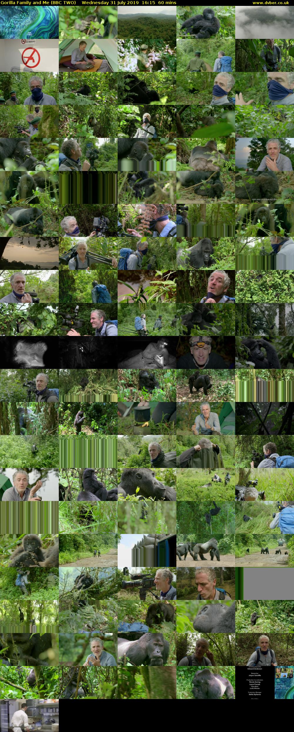 Gorilla Family and Me (BBC TWO) Wednesday 31 July 2019 16:15 - 17:15