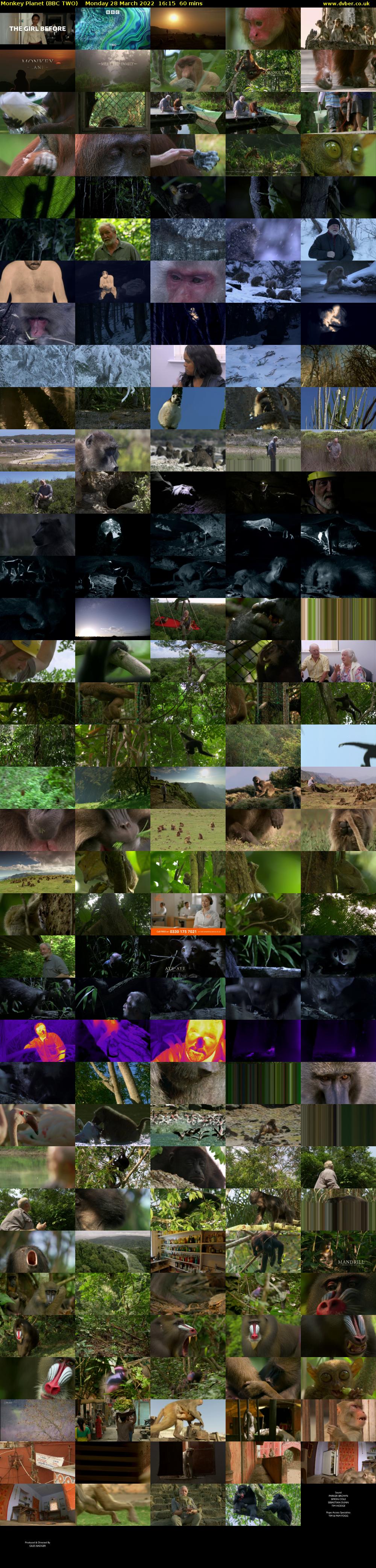 Monkey Planet (BBC TWO) Monday 28 March 2022 16:15 - 17:15