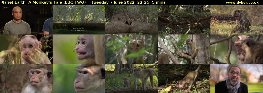 Planet Earth: A Monkey's Tale (BBC TWO) Tuesday 7 June 2022 22:25 - 22:30