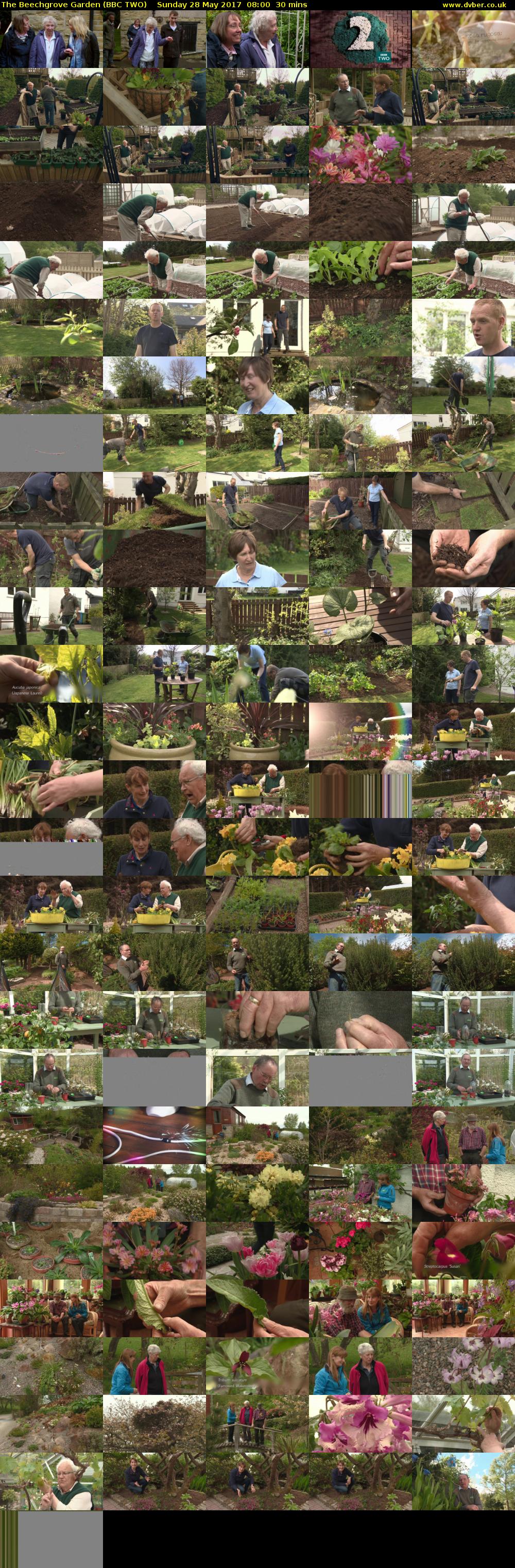 The Beechgrove Garden (BBC TWO) Sunday 28 May 2017 08:00 - 08:30
