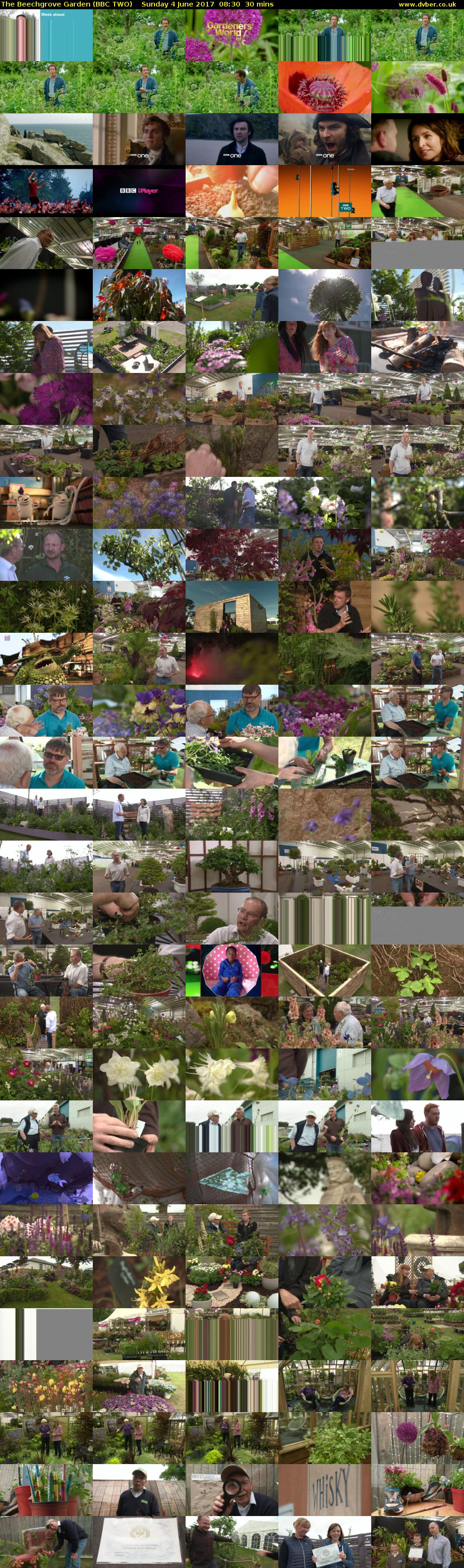 The Beechgrove Garden (BBC TWO) Sunday 4 June 2017 08:30 - 09:00