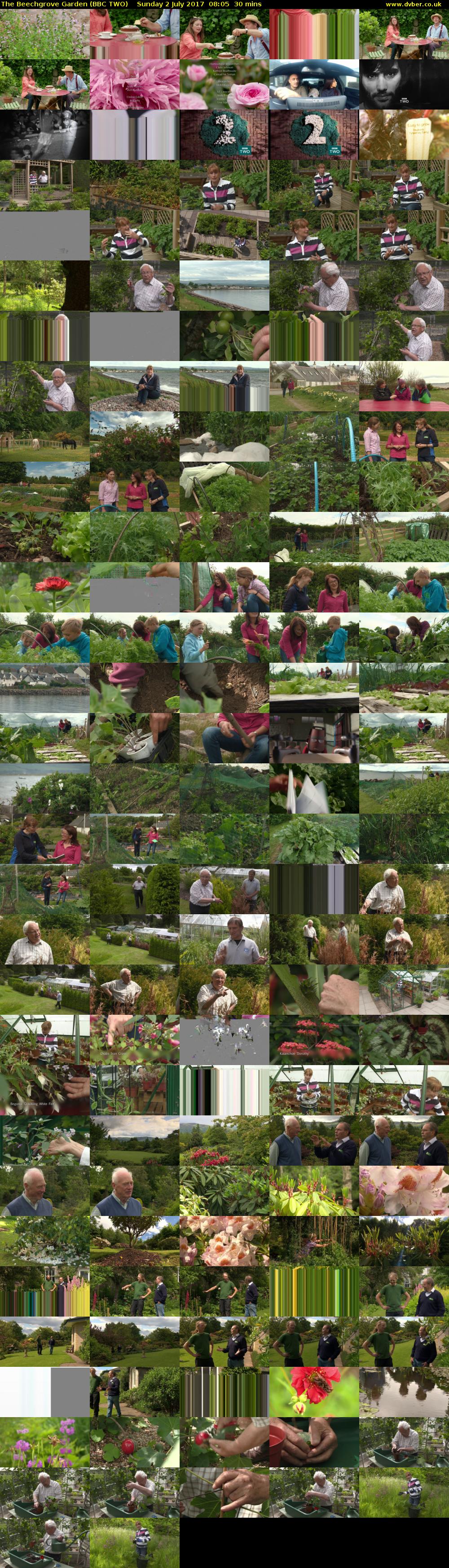 The Beechgrove Garden (BBC TWO) Sunday 2 July 2017 08:05 - 08:35