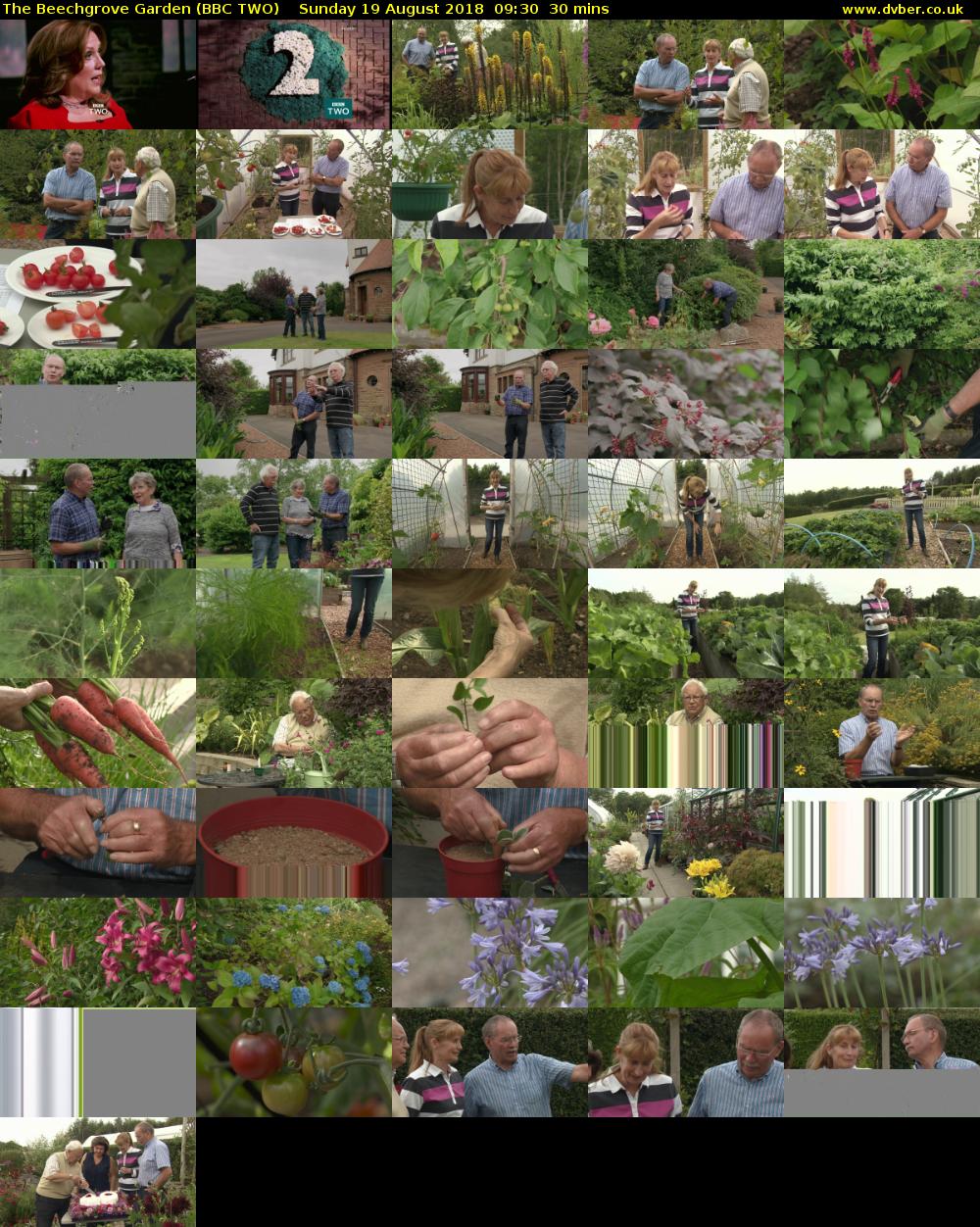 The Beechgrove Garden (BBC TWO) Sunday 19 August 2018 09:30 - 10:00