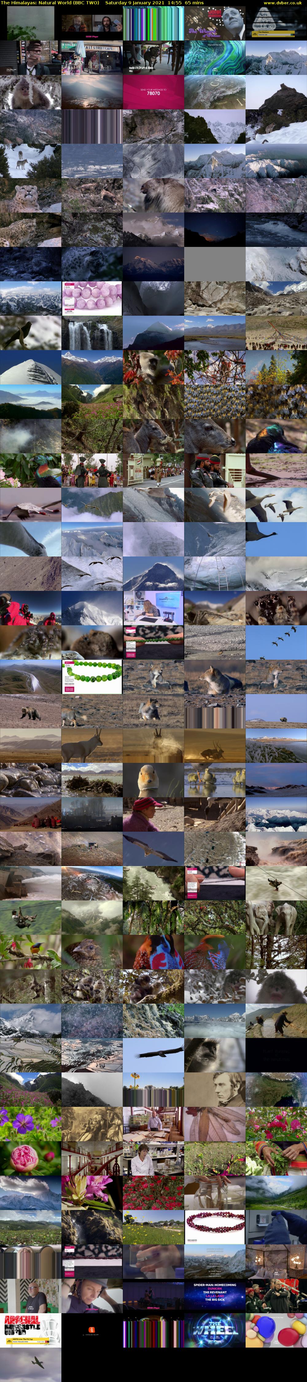 The Himalayas: Natural World (BBC TWO) Saturday 9 January 2021 14:55 - 16:00