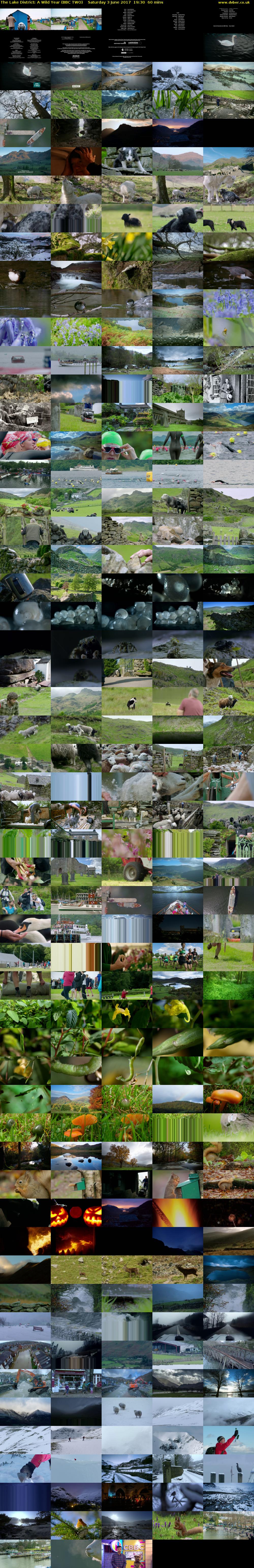 The Lake District: A Wild Year (BBC TWO) Saturday 3 June 2017 19:30 - 20:30