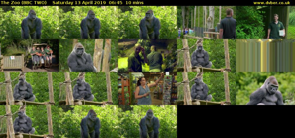 The Zoo (BBC TWO) Saturday 13 April 2019 06:45 - 06:55