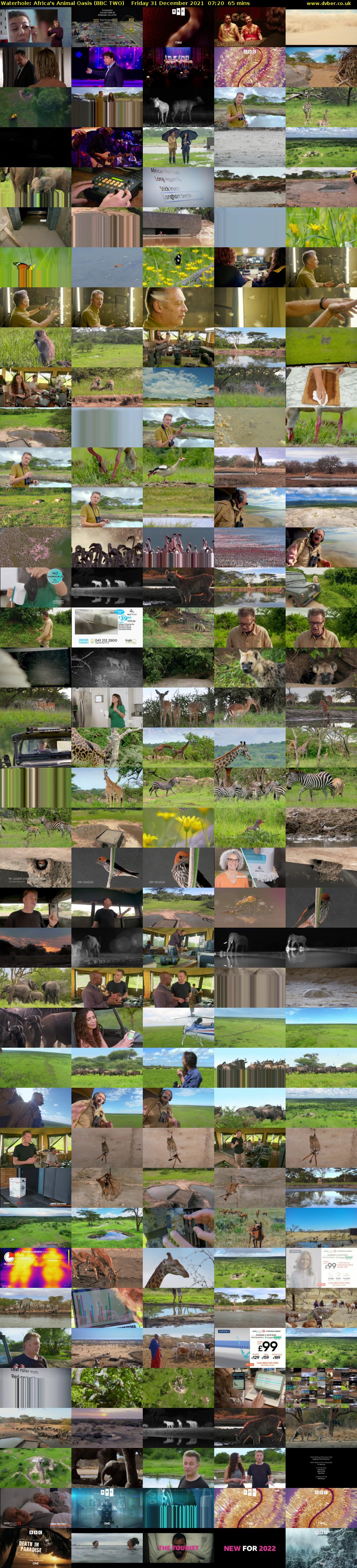 Waterhole: Africa's Animal Oasis (BBC TWO) Friday 31 December 2021 07:20 - 08:25