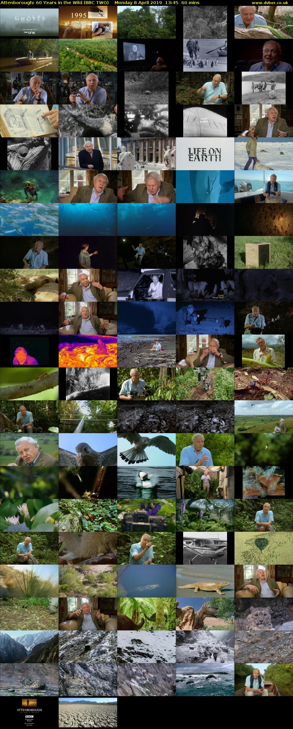 Attenborough: 60 Years in the Wild (BBC TWO) Monday 8 April 2019 13:45 - 14:45
