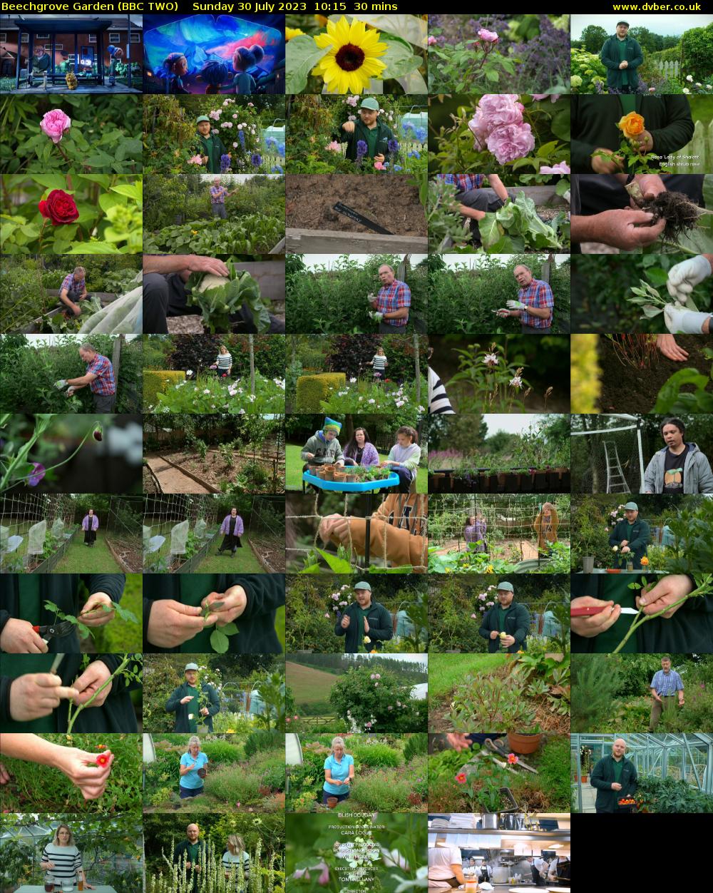 Beechgrove Garden (BBC TWO) Sunday 30 July 2023 10:15 - 10:45
