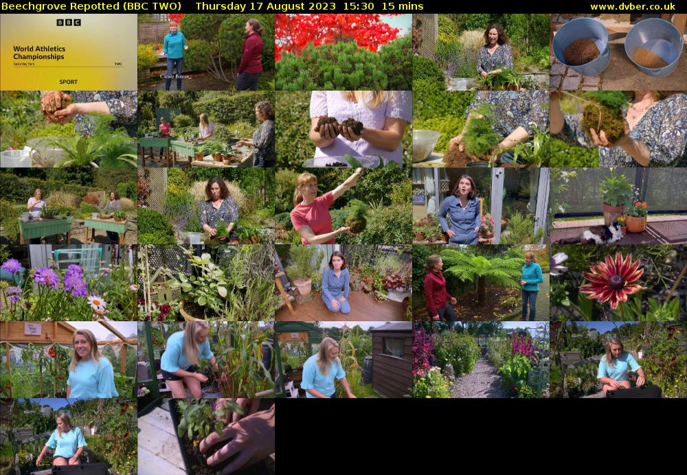 Beechgrove Repotted (BBC TWO) Thursday 17 August 2023 15:30 - 15:45