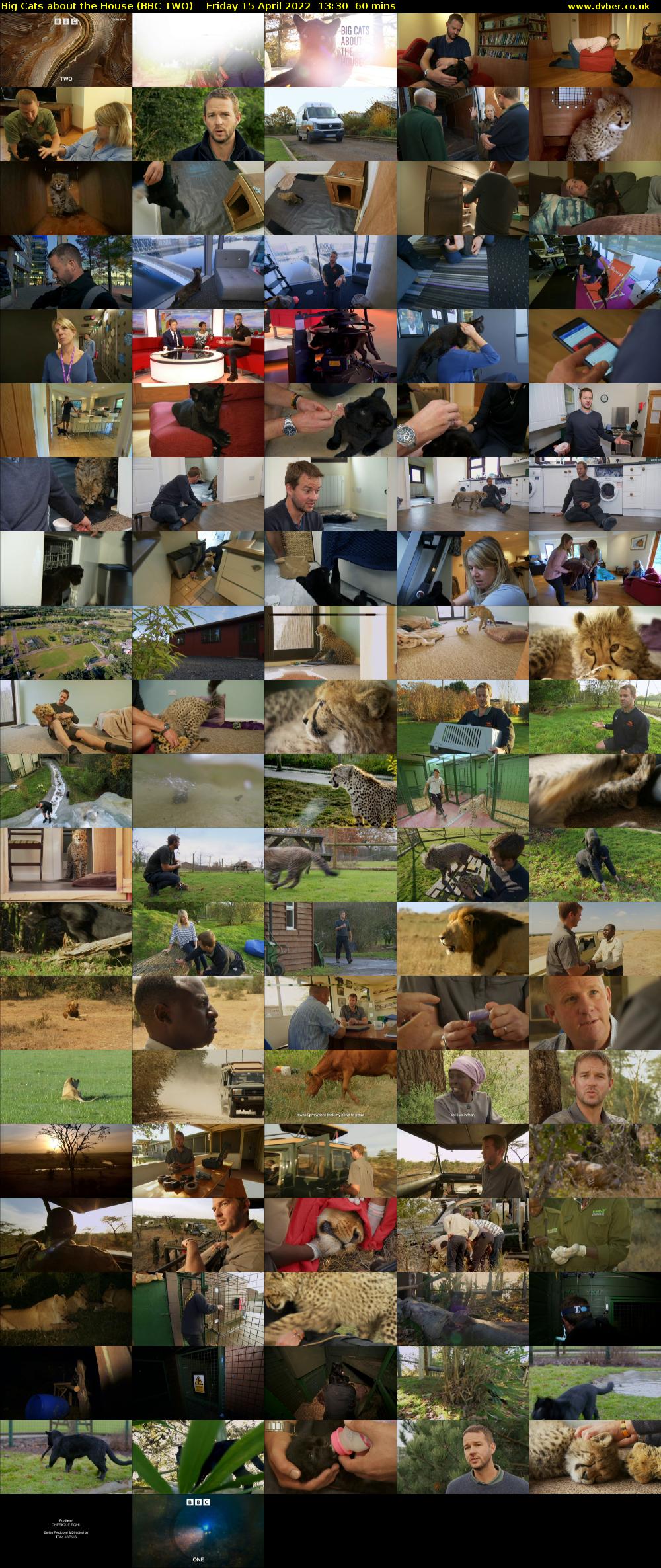 Big Cats About the House (BBC TWO) Friday 15 April 2022 13:30 - 14:30
