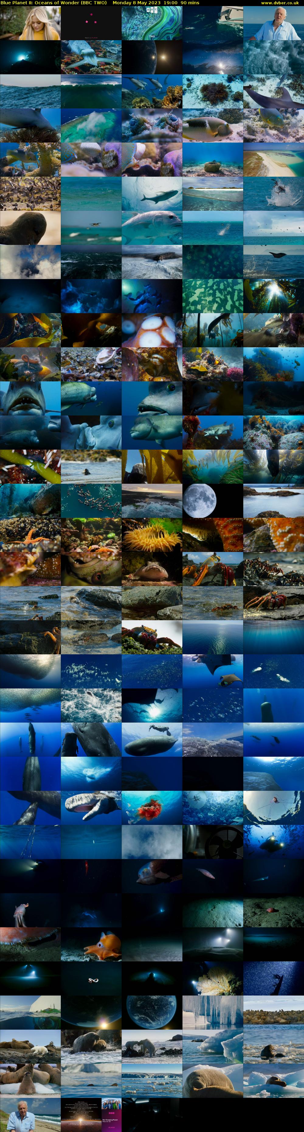 Blue Planet II: Oceans of Wonder (BBC TWO) Monday 8 May 2023 19:00 - 20:30