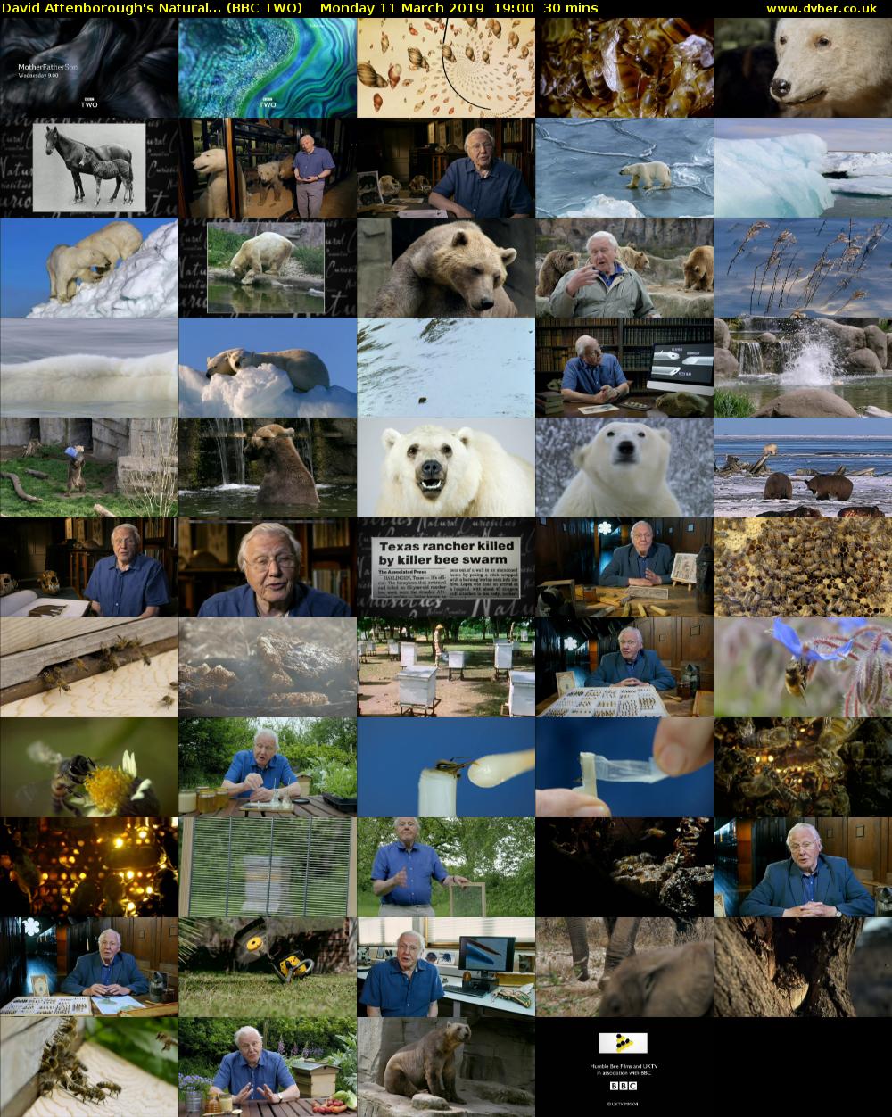 David Attenborough's Natural... (BBC TWO) Monday 11 March 2019 19:00 - 19:30