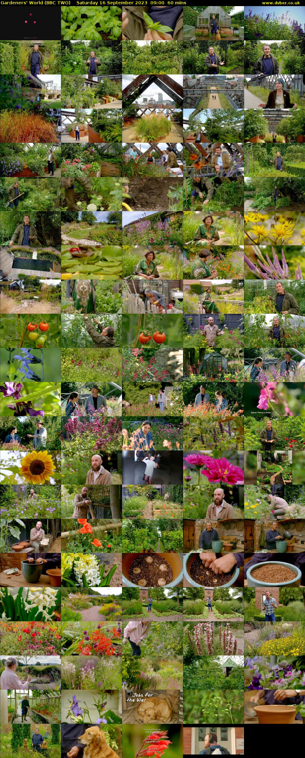 Gardeners' World (BBC TWO) Saturday 16 September 2023 09:00 - 10:00