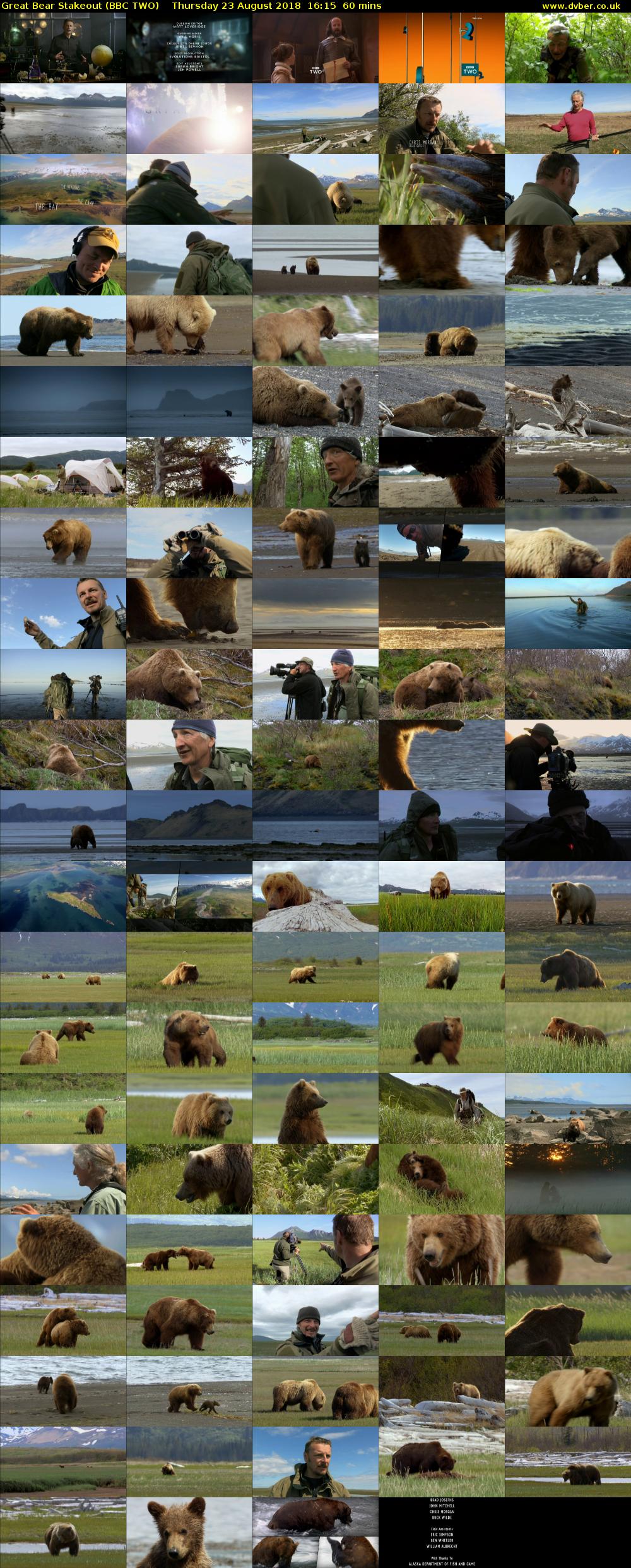 Great Bear Stakeout (BBC TWO) Thursday 23 August 2018 16:15 - 17:15