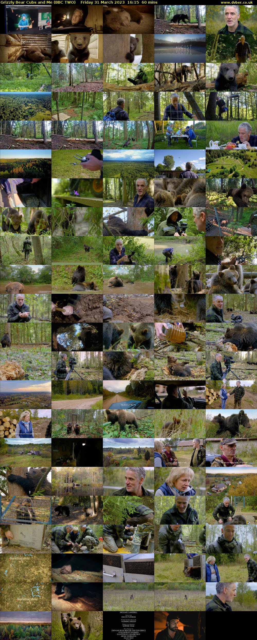 Grizzly Bear Cubs and Me (BBC TWO) Friday 31 March 2023 16:15 - 17:15