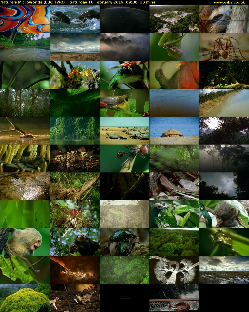 Nature's Microworlds (BBC TWO) Saturday 16 February 2019 09:30 - 10:00