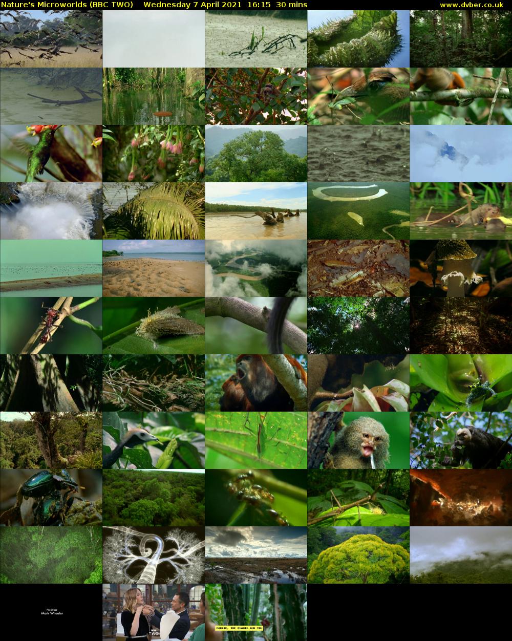 Nature's Microworlds (BBC TWO) Wednesday 7 April 2021 16:15 - 16:45
