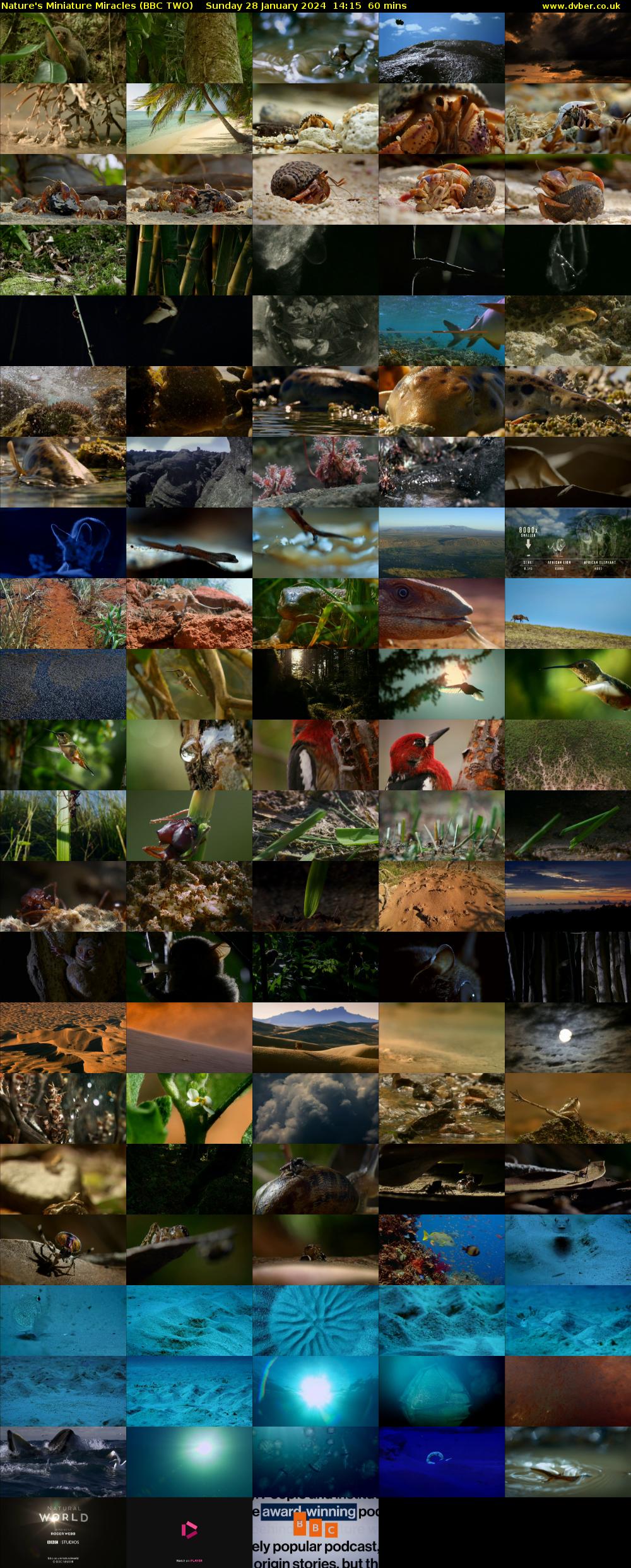 Nature's Miniature Miracles (BBC TWO) Sunday 28 January 2024 14:15 - 15:15