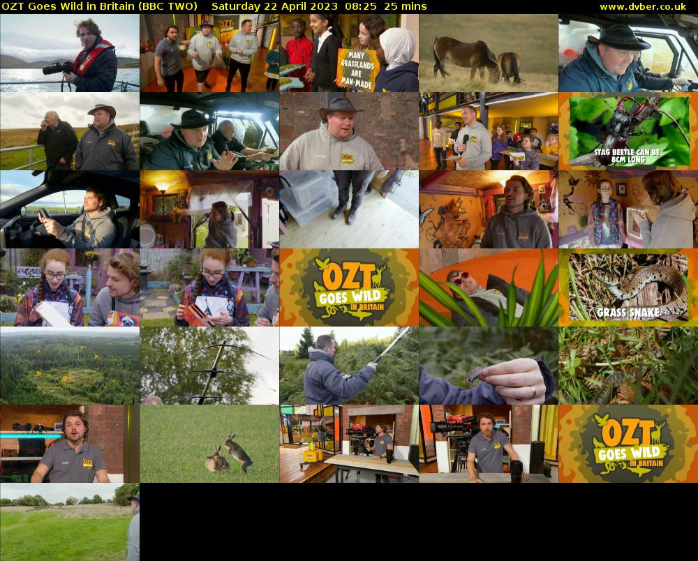 OZT Goes Wild in Britain (BBC TWO) Saturday 22 April 2023 08:25 - 08:50